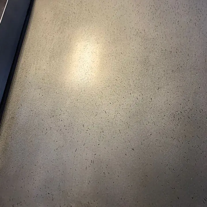 Flat Griddle 48” THERMATEK - Master