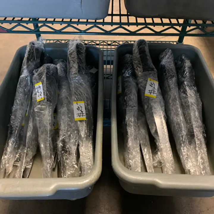 Knife Pack Set PROKNIFE - Master