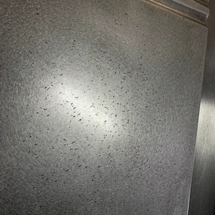 Half Grooved Flat Griddle WOLF - Master