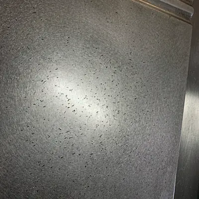 Half Grooved Flat Griddle WOLF primary image