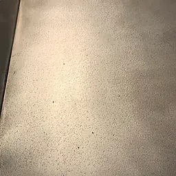 Electric Double Stack Convection Oven BLODGETT - Master