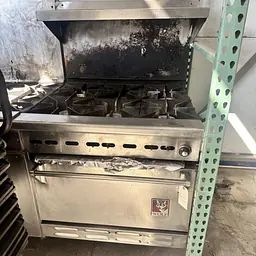 Wolf 6 Burner with Oven Natural Gas - Master