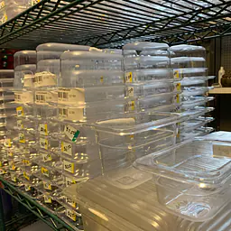 Clear Cambro Insert 1/9 NEW - Master