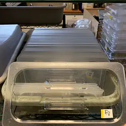 Clear Cambro LID 1/3 NEW - Master