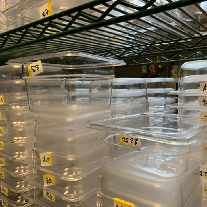 Clear Cambro Insert 1/6 NEW - Master