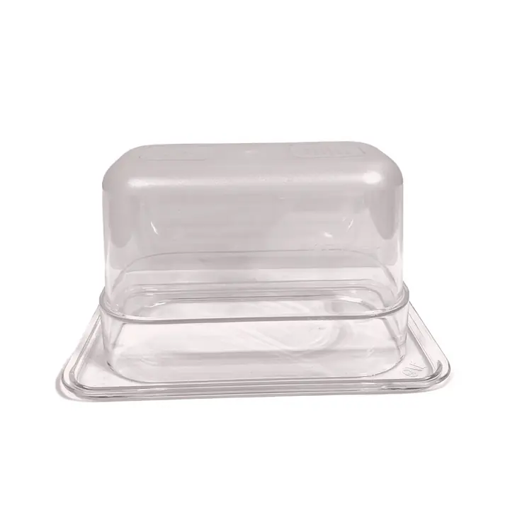NSF Approved Food Pan 1/9 4” Clear - Master
