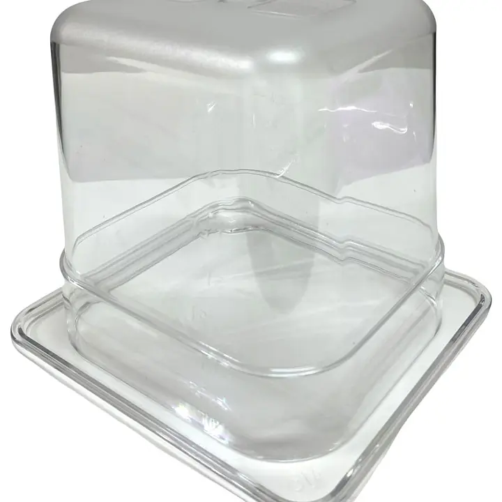 NSF Approved Food Pan 1/6 6” Clear - Master